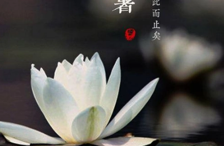 1566463999895872.png image.png