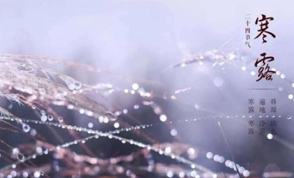 1570507923384331.png image.png