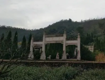 1690446453295339.png image.png