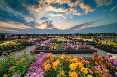 1571024824945755.png image.png