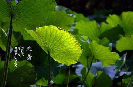 1566464005125009.png image.png