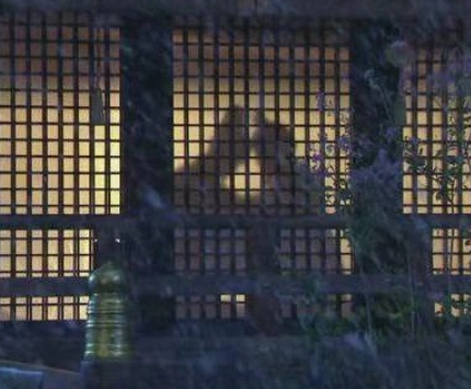 1711419027346374.png image.png