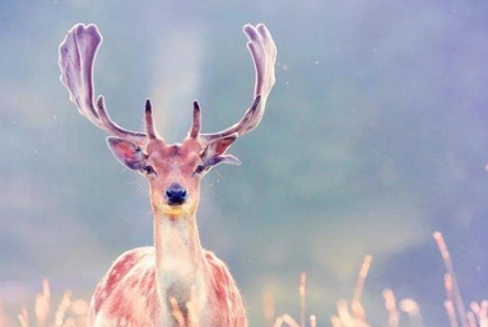 1574155139930446.png image.png