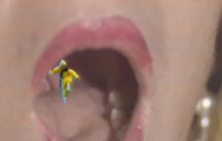 1574253682604312.png image.png