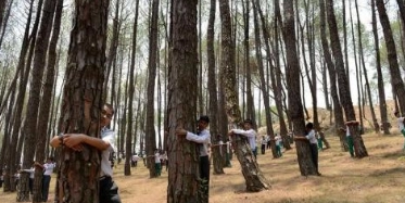 1561104436264062.png image.png