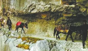 1666082315556825.png 图片.png