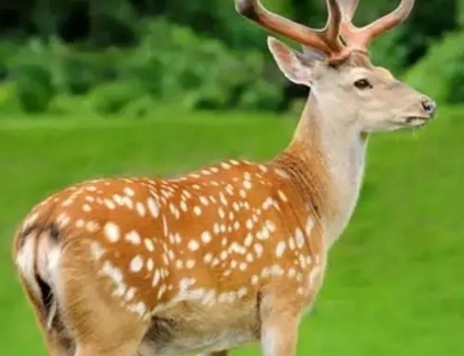 1678853061224317.png image.png