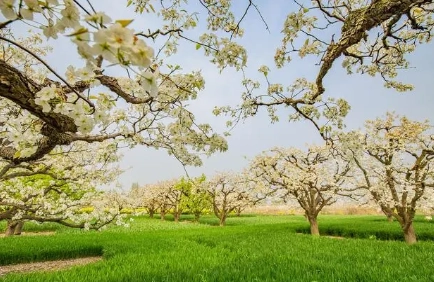 1678938838575926.png image.png