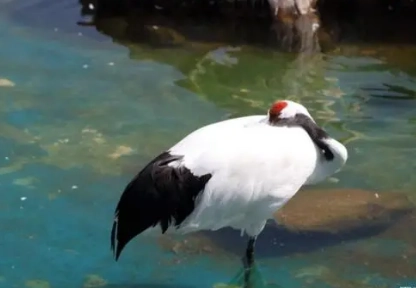 1678853079358014.png image.png