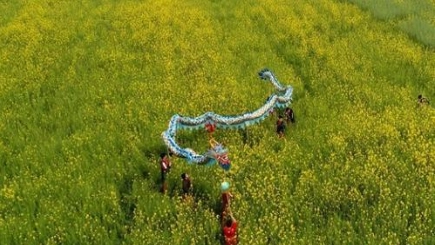 1552008234258062.png image.png