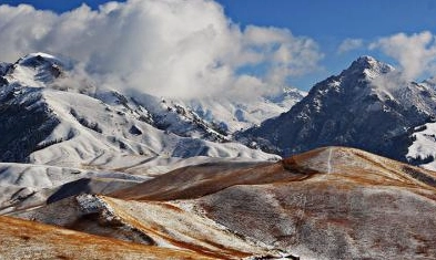 1665741558343363.png 图片.png