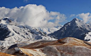 1665741313607128.png 图片.png