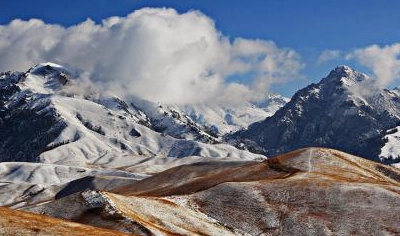 1665741204829773.png 图片.png