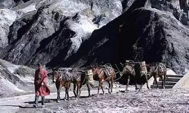 1665992772820367.png 图片.png