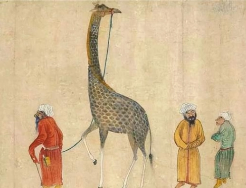 1708566793974082.png image.png