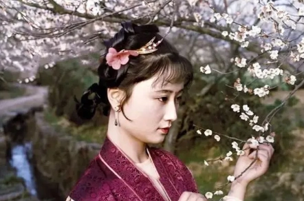 1678679891480081.png image.png