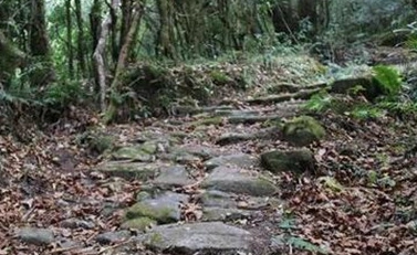 1665992241875597.png 图片.png