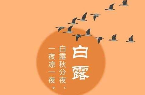 1533609988785929.png blob.png