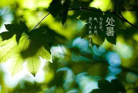 1534987213806918.png blob.png