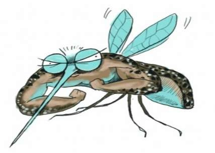 1533524618541453.png blob.png