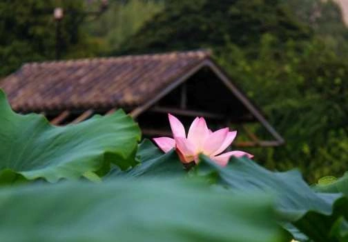 1533609729198061.png blob.png