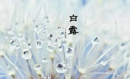 1533609976980469.png blob.png