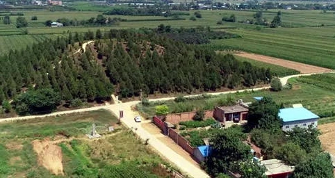 1680232561328253.png 图片.png