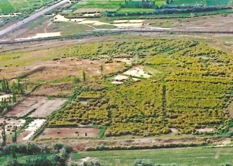 1680331730439135.png image.png