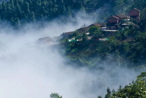 1567661794311437.png image.png