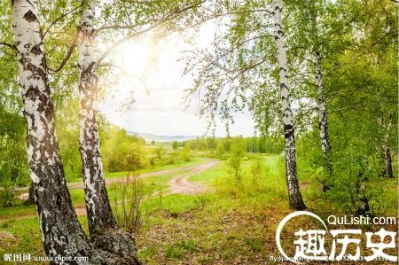 1469065376672872.jpg 1_meitu_1.jpg