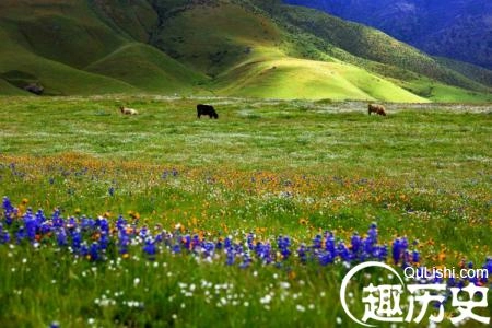 1469065645234442.jpg 212425ozbb1oiodobbfzut_meitu_19_meitu_20_meitu_2.jpg