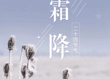 1703057438750530.png image.png