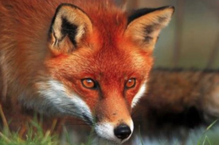 1561963875441946.png image.png