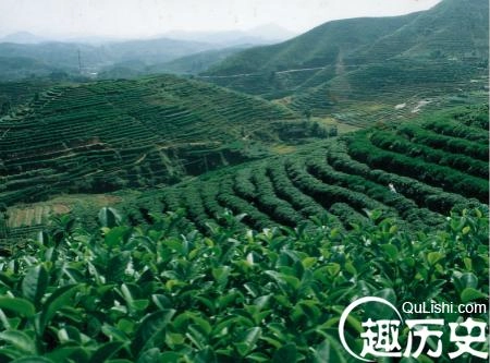 1467364866303122.jpg 200811108395091_2_meitu_52.jpg