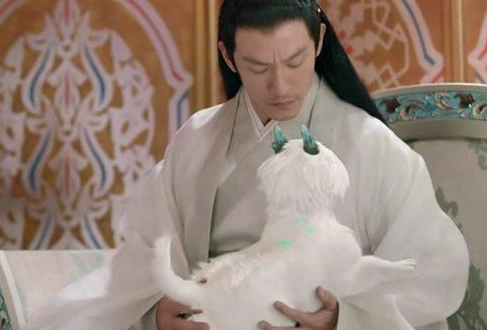 1563959519510452.png image.png