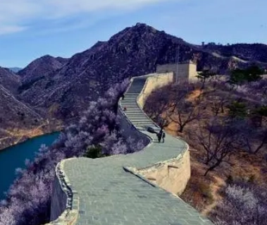 1679032219856323.png image.png