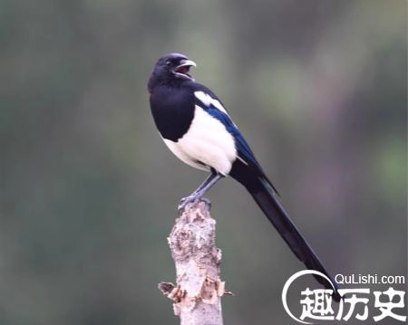 1467277708932164.jpg 20090921_27d0a8577c6d0ac2f360jJ7hg2DRN5D4_meitu_38.jpg