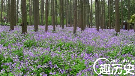 1467013510244684.jpg 113510_13801364009710864_94848c3aa01f27e8fbd458f9c2c39f67_meitu_39.jpg