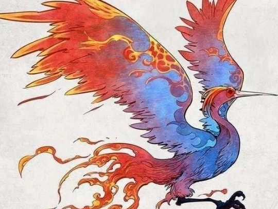 1561534120771358.png image.png