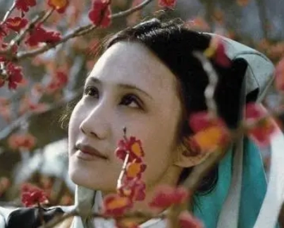 1677467707485110.png image.png