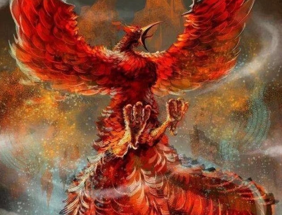 1561534115711079.png image.png