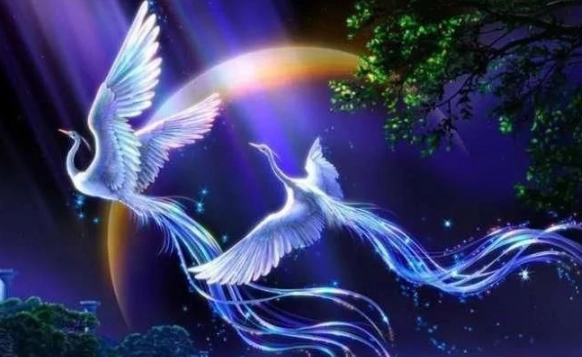 1561534089969201.png image.png