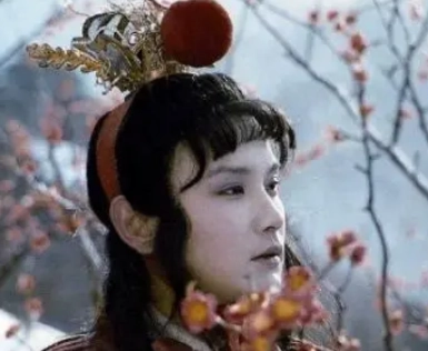 1677467700703118.png image.png