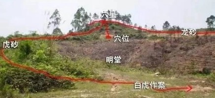 1570436235948098.png image.png