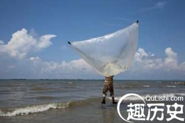 1463749828256726.jpeg 3.jpeg