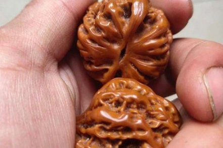 1570679566698561.png image.png