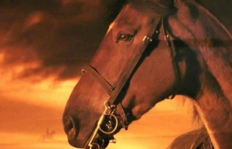 1569736115481667.png image.png