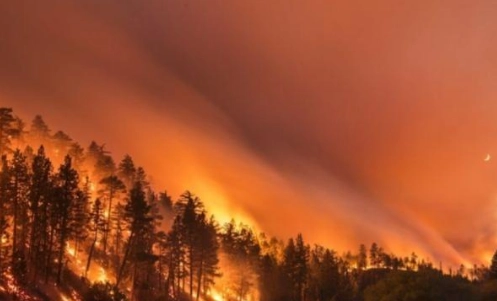 1569572378605593.png image.png