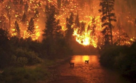 1569572383672543.png image.png