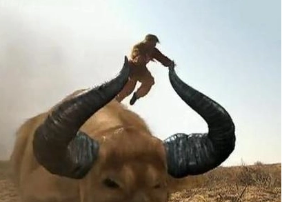 1555483237255769.png image.png